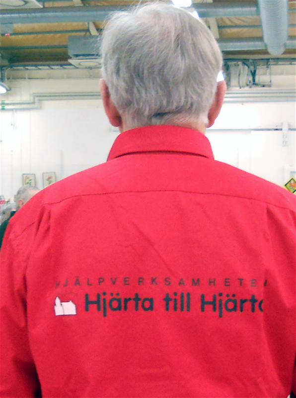 Sverige - Sociala insatser